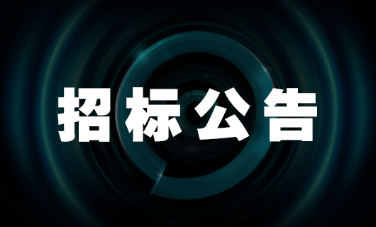 2024年广东星空网站入口官网手机版(中国)-唯一官方网站,科技集团股份有限公司干线物流服务投标公告